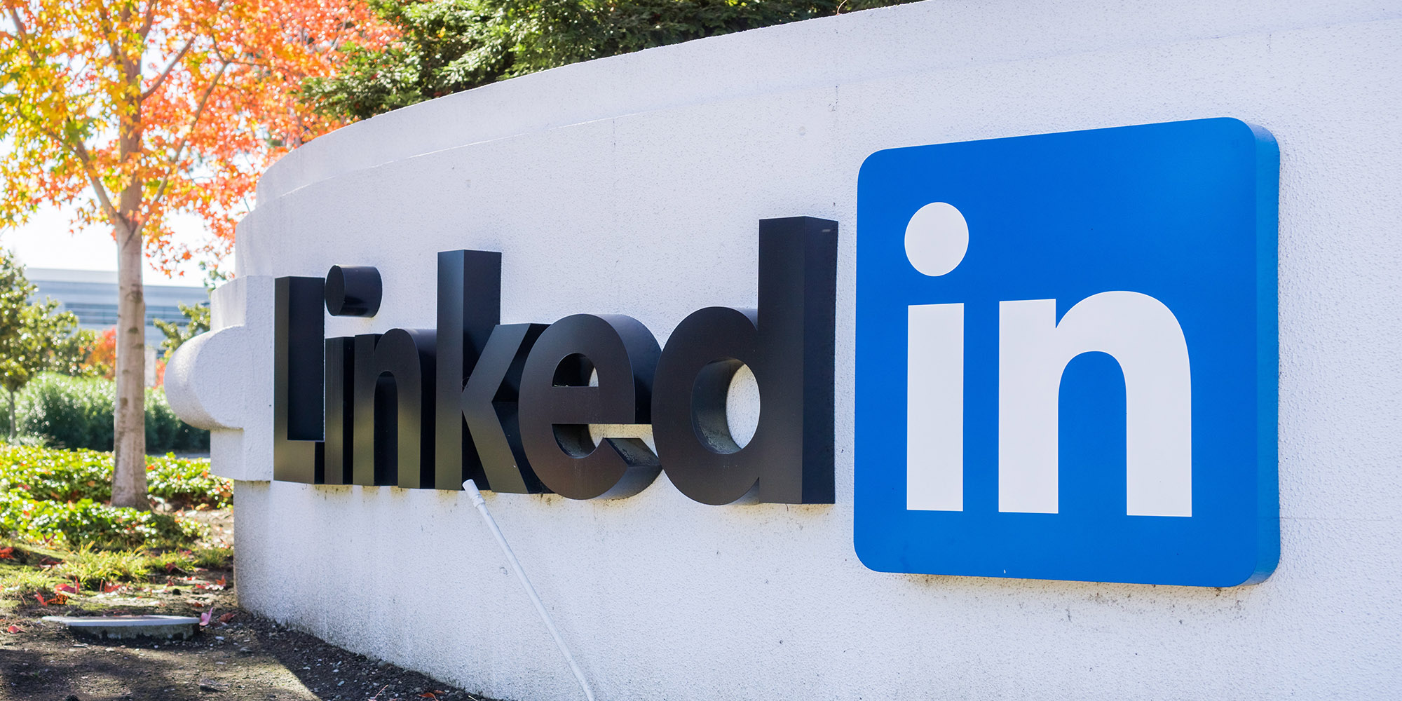 Linkedin is Hosting Your Biggest Networking Event